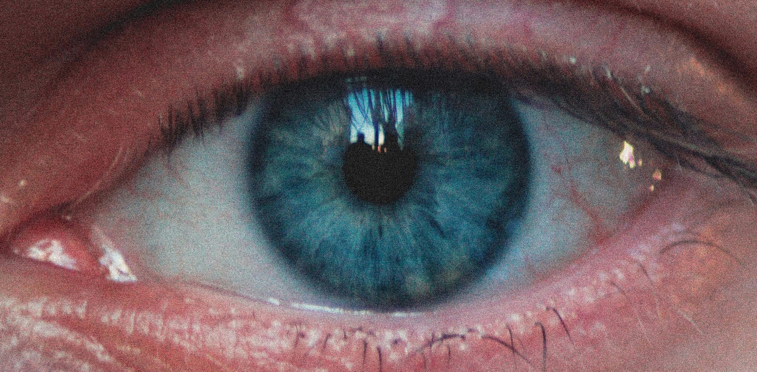 Here are all the facts you need to know about blue eyes 3