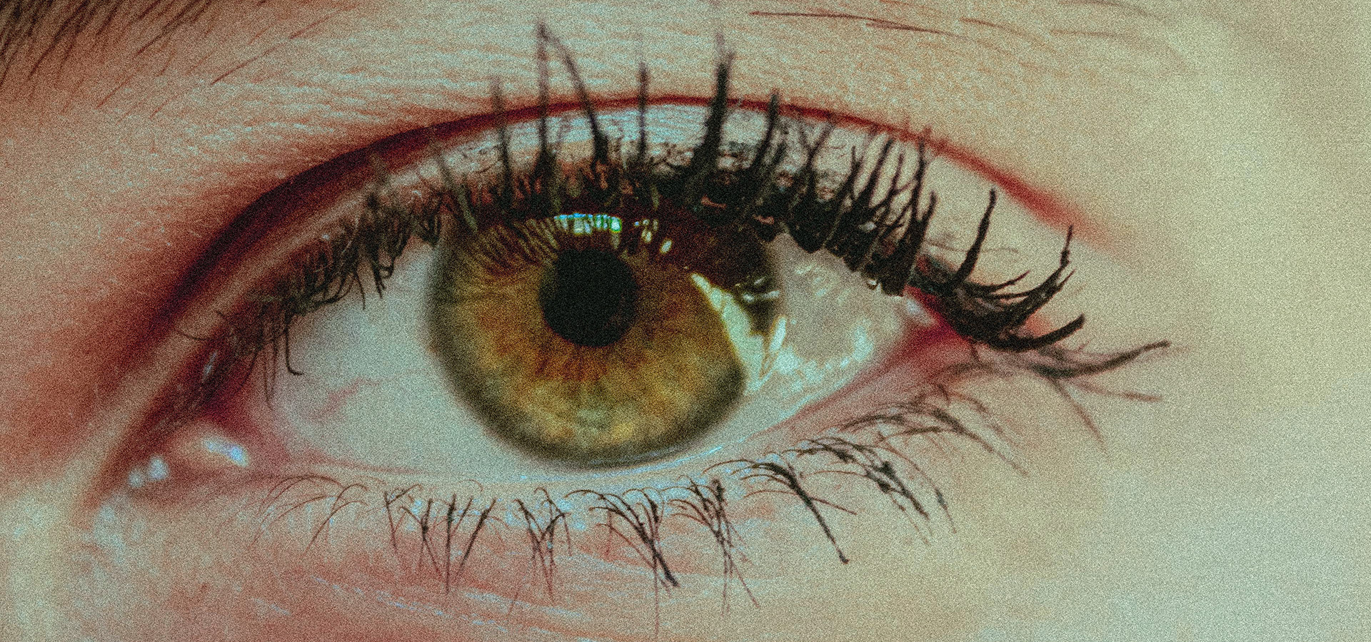 What are the characteristics of amber eyes and why do they seem to be so rare? 2