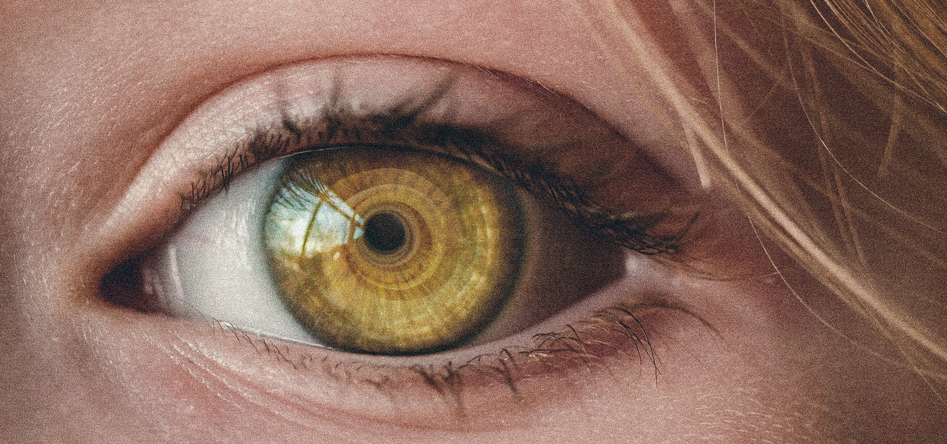 What are the characteristics of amber eyes and why do they seem to be so rare? 1