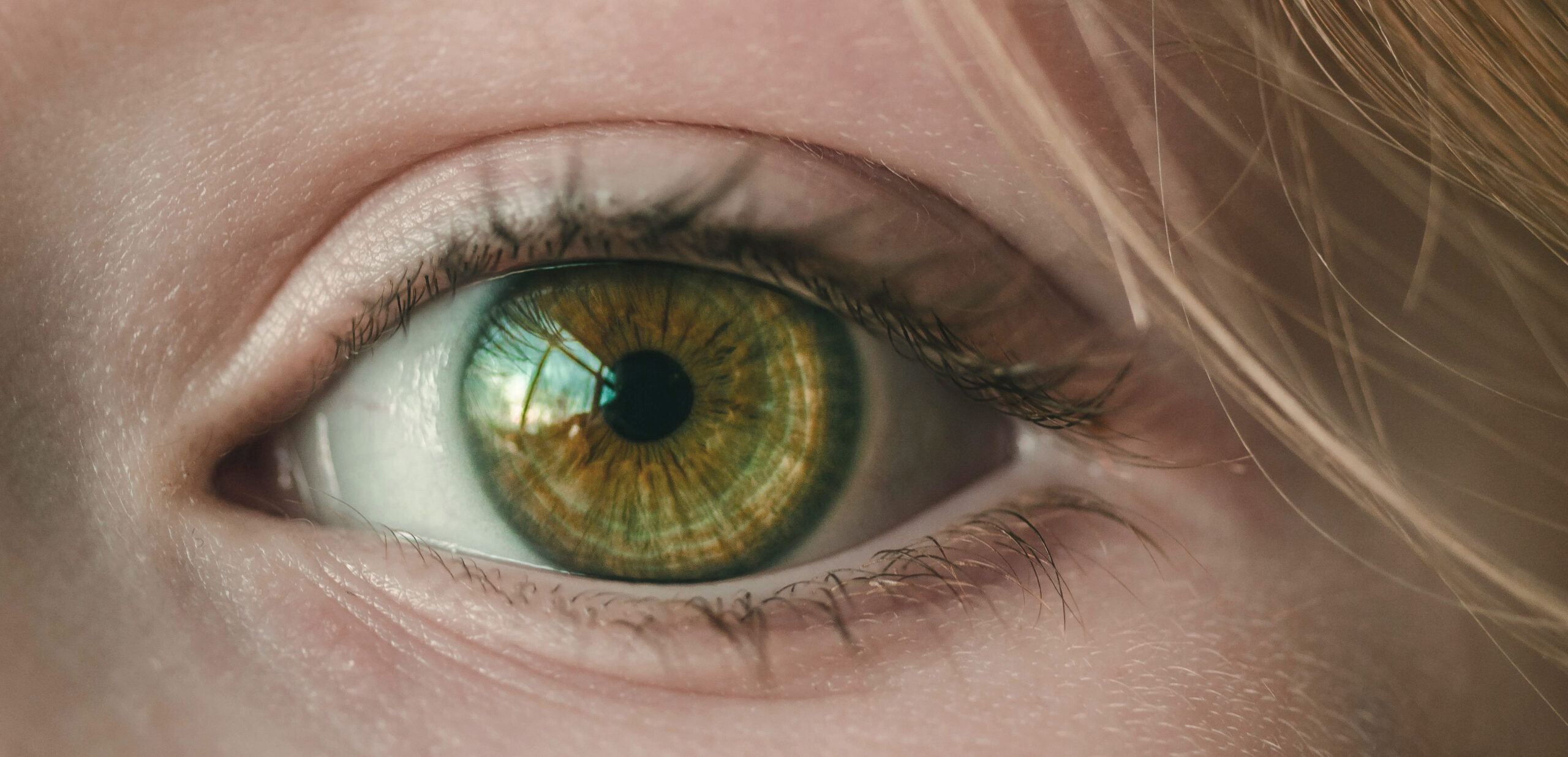 There are several interesting facts about green eyes that you should be aware of 3